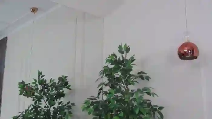 MelanieBoyd30