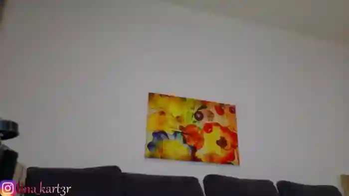 Tina_kart3r