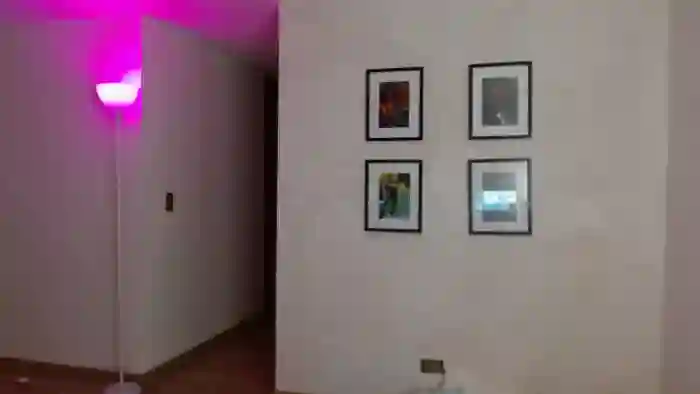 Olivia_bran