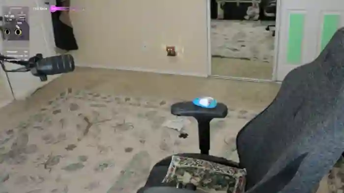 Shellybeans