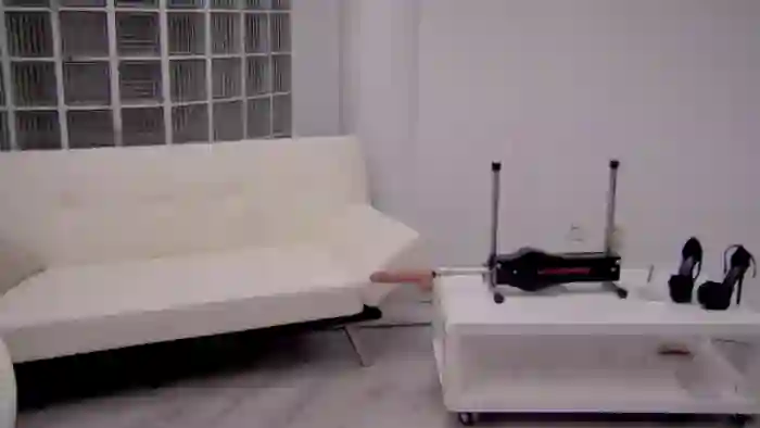 Squirrel_MFC