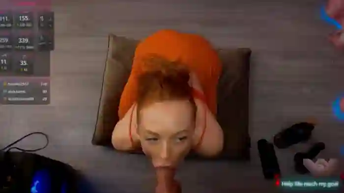 Redhead_Shark