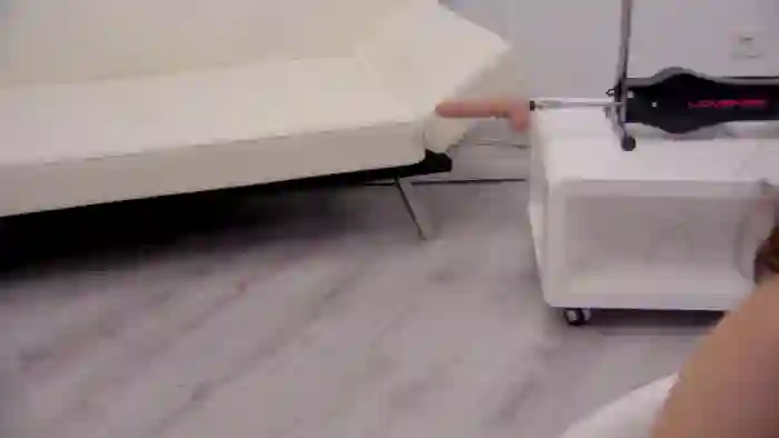 Squirrel_MFC