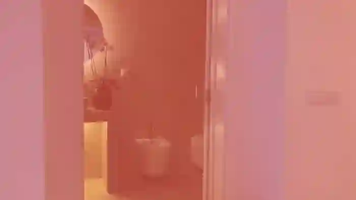 V_e_r_o_