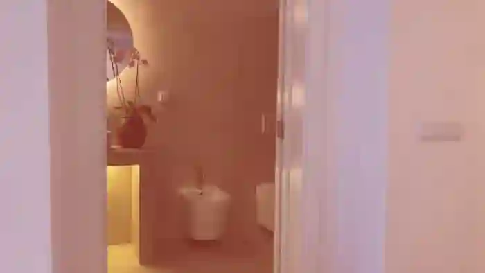 V_e_r_o_
