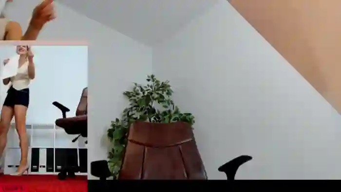 LegswAttitude