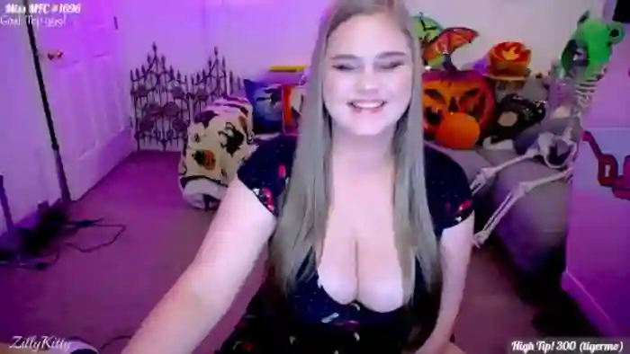 ZillyKitty