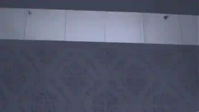 AnaisLeblanc