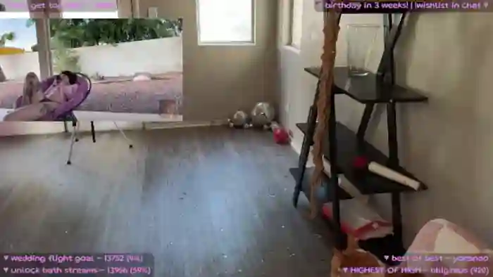 MollyMeowz