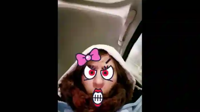 IntruderRorry