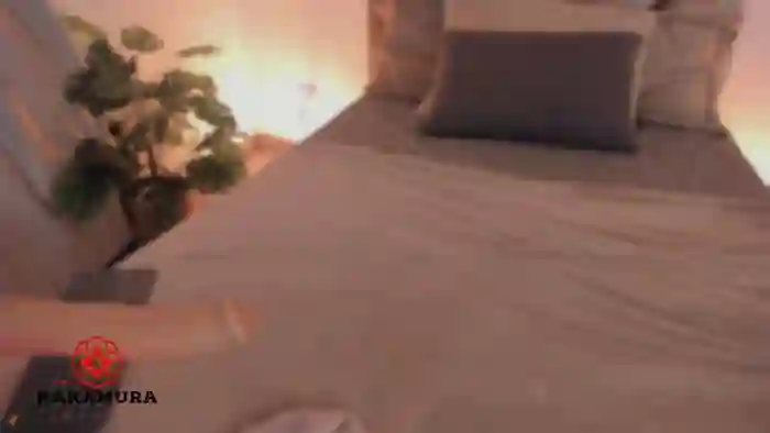 Nakamura_Sanz