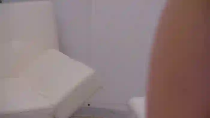 Squirrel_MFC