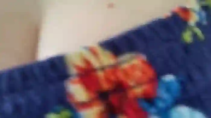 TrollopTaylor
