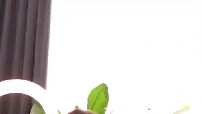 EmilyRaymont