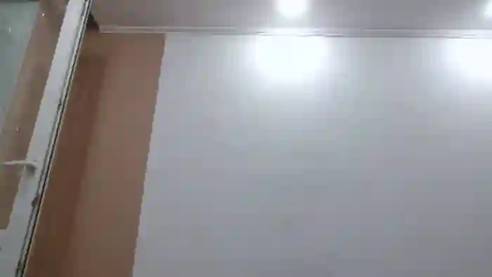 HaleyReed