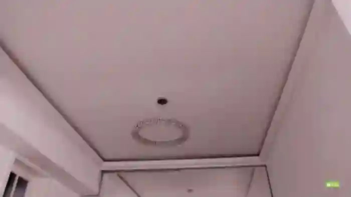 Meow_S