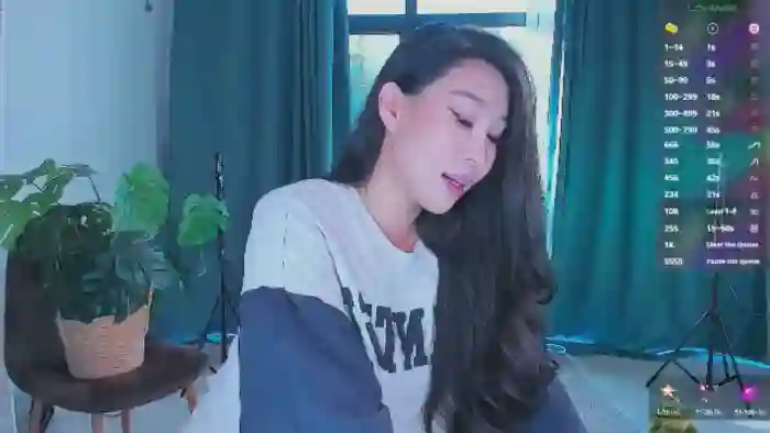 OnlyCats