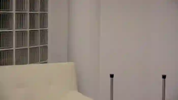 Squirrel_MFC