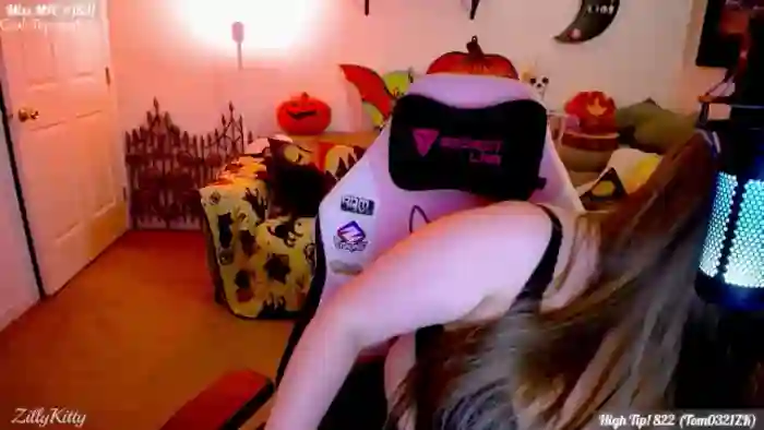ZillyKitty