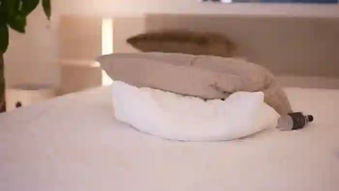 DorisCream