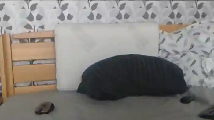 Kelywild