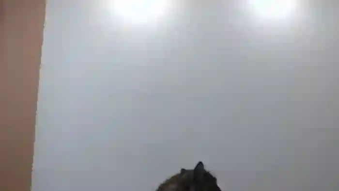 HaleyReed