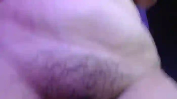 NomiChuu