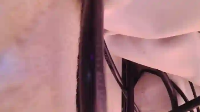 xDaisyx