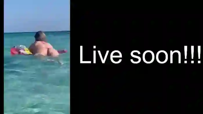 Allie_Synn