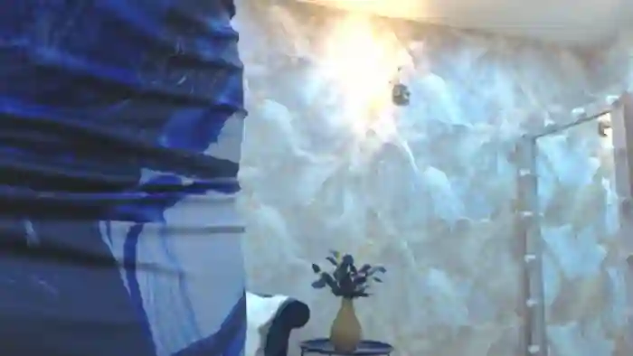 EnigmaVeil