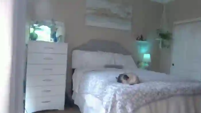 Queen_bambii