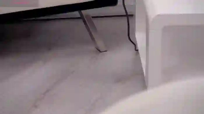 Squirrel_MFC
