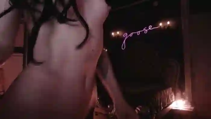 Lucy_Goose