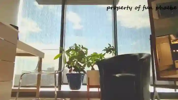 Fun_Phoebe