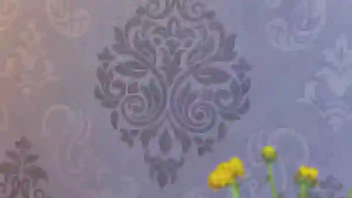 PoxyVibe