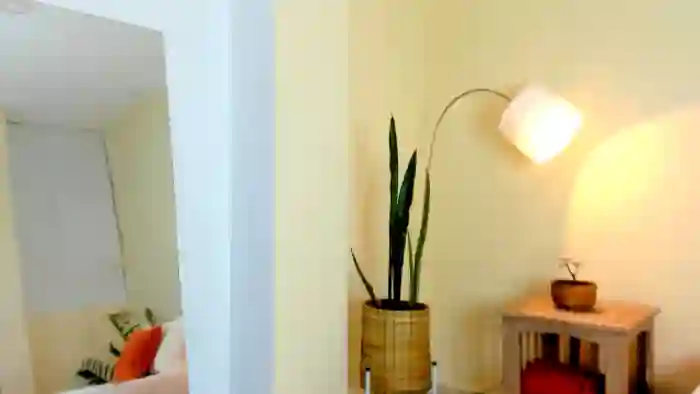 Paauly