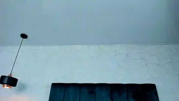 AdeleAnderson