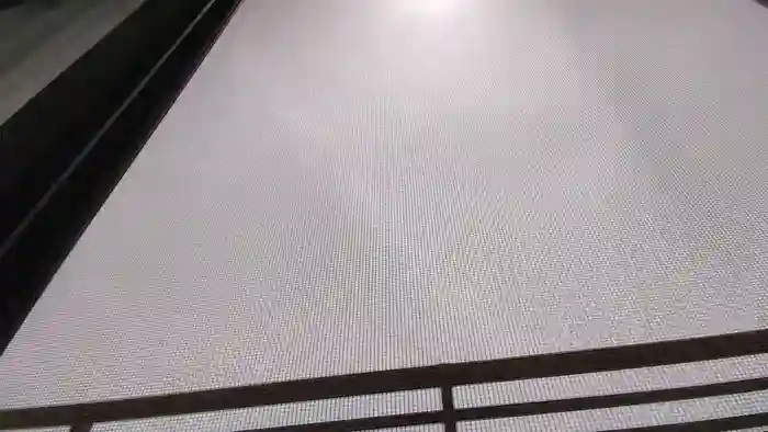 ribonnnu