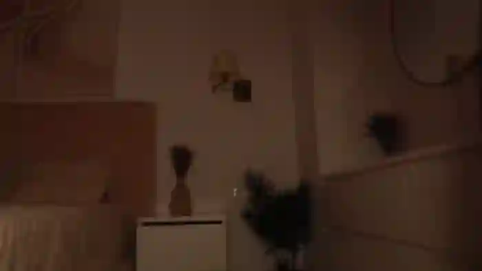 FunnyElena