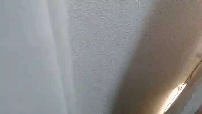 harukannn