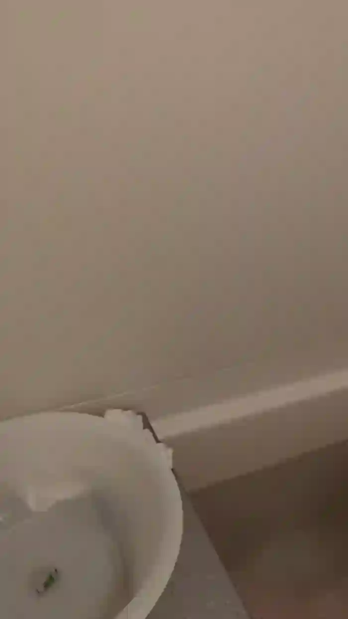 oxoSATOMIoxo