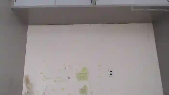 AIRIchoco