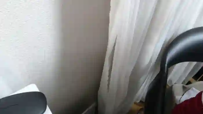 harukannn