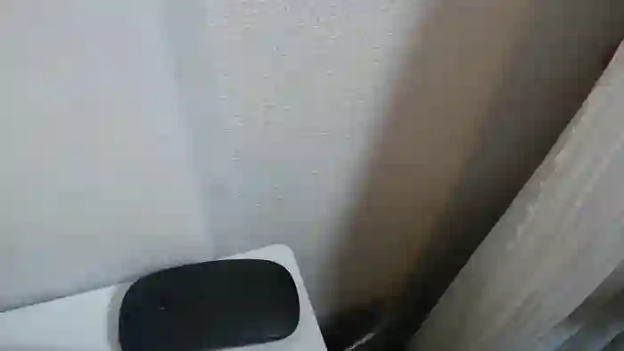 harukannn
