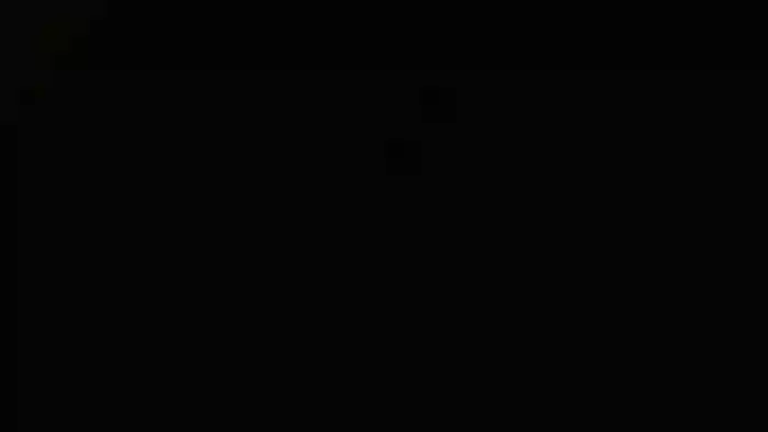 qXXXreikoXXXq