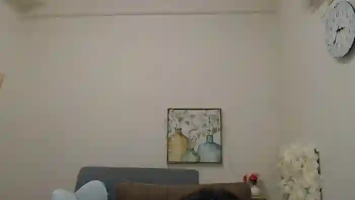 MINAMIew