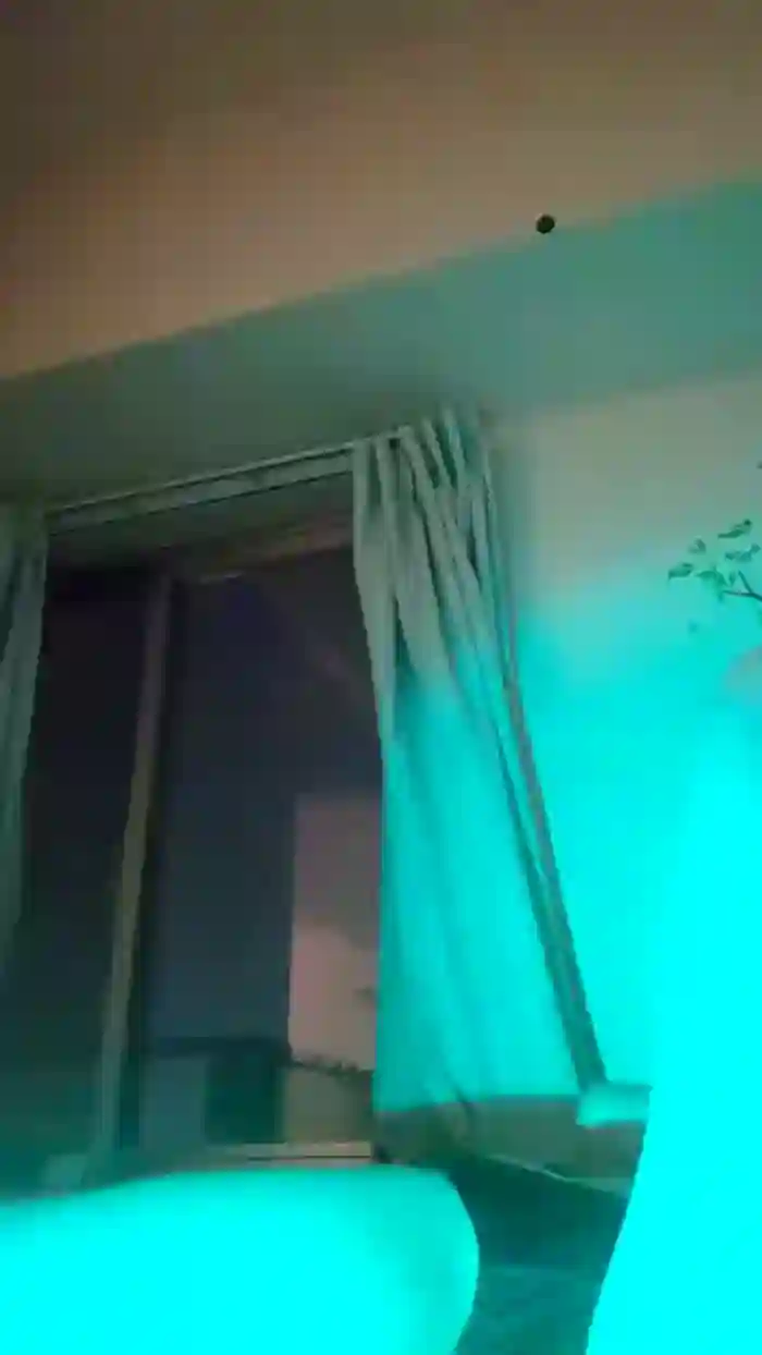 sayatan5