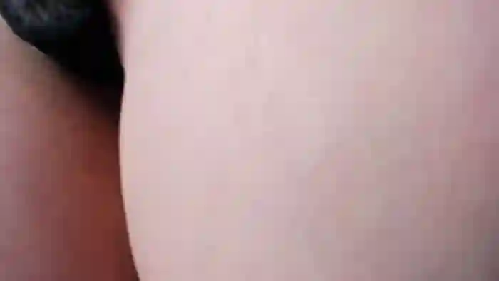 Calipsoswet