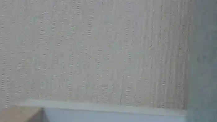REIKAxdxx