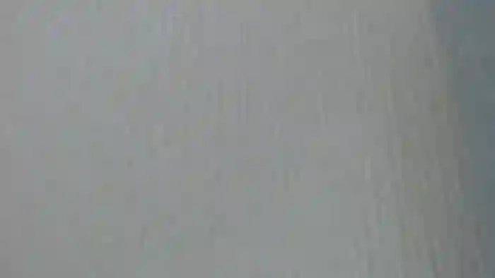 REIKAxdxx